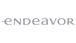 endeavor